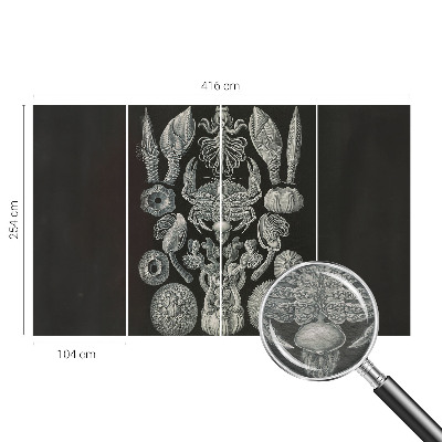 Flíz fotótapéta Víz alatti formák