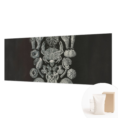 Flíz fotótapéta Víz alatti formák