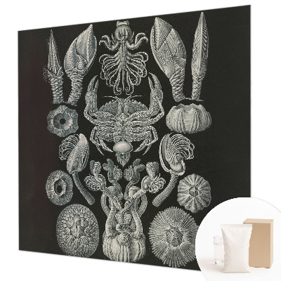 Flíz fotótapéta Víz alatti formák