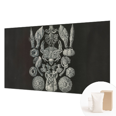 Flíz fotótapéta Víz alatti formák