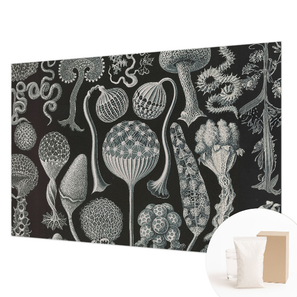 Vlies fotótapéta falra Varázslatos növények