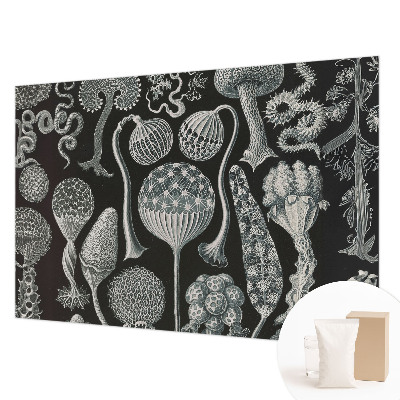 Vlies fotótapéta falra Varázslatos növények