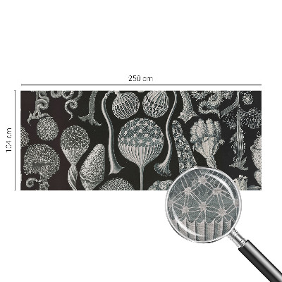 Vlies fotótapéta falra Varázslatos növények