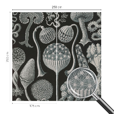 Vlies fotótapéta falra Varázslatos növények