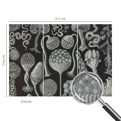 Vlies fotótapéta falra Varázslatos növények