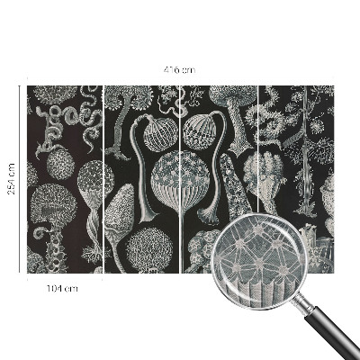 Vlies fotótapéta falra Varázslatos növények