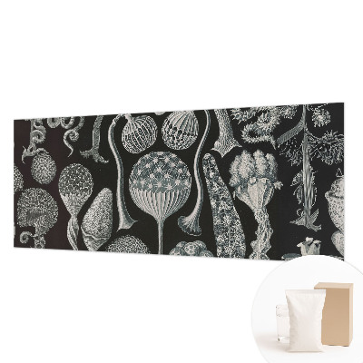 Vlies fotótapéta falra Varázslatos növények