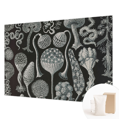 Vlies fotótapéta falra Varázslatos növények