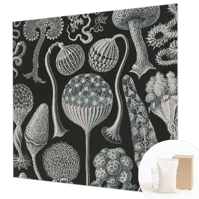 Vlies fotótapéta falra Varázslatos növények