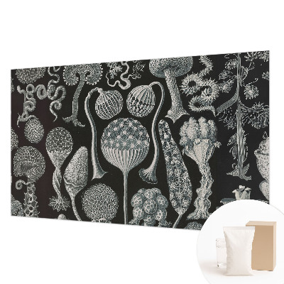 Vlies fotótapéta falra Varázslatos növények