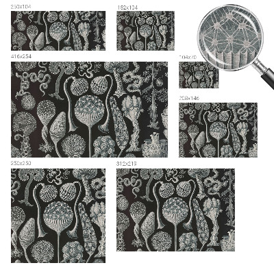 Vlies fotótapéta falra Varázslatos növények