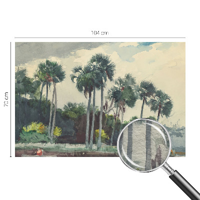 Poszter tapéta Egzotikus pálmafák