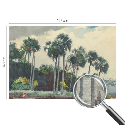 Poszter tapéta Egzotikus pálmafák