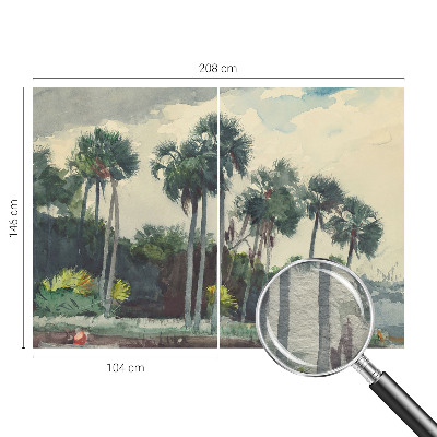 Poszter tapéta Egzotikus pálmafák