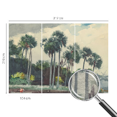 Poszter tapéta Egzotikus pálmafák