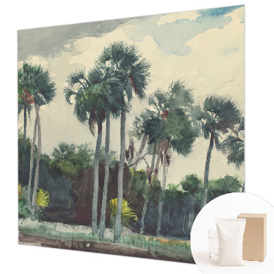 Poszter tapéta Egzotikus pálmafák