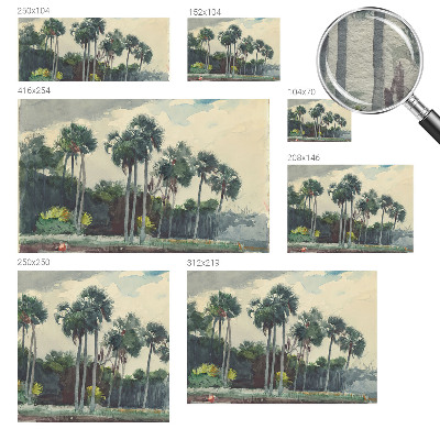 Poszter tapéta Egzotikus pálmafák