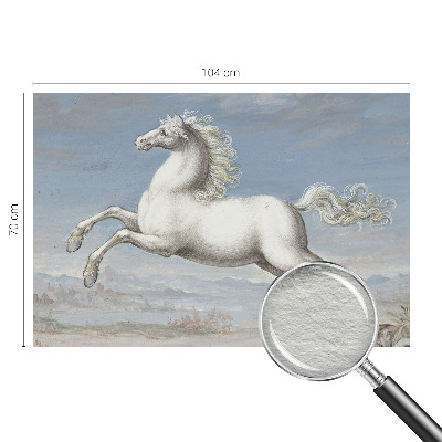 Fali poszter tapéta Lovak a ugrásban