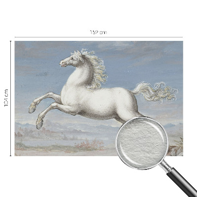 Fali poszter tapéta Lovak a ugrásban