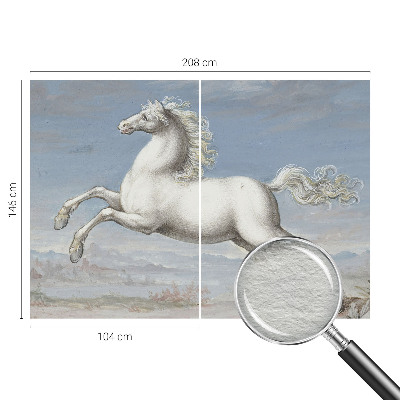 Fali poszter tapéta Lovak a ugrásban