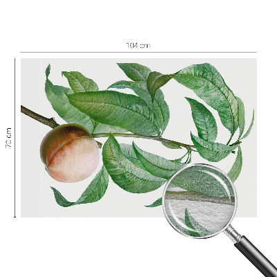 Fotótapéta Érett őszibarack