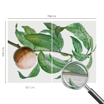 Fotótapéta Érett őszibarack