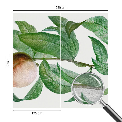 Fotótapéta Érett őszibarack