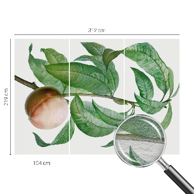 Fotótapéta Érett őszibarack