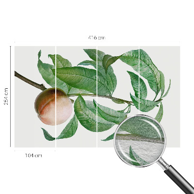 Fotótapéta Érett őszibarack