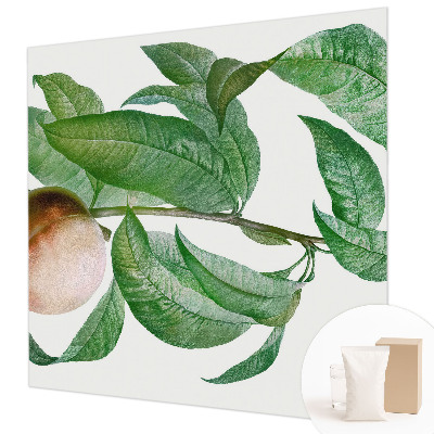 Fotótapéta Érett őszibarack