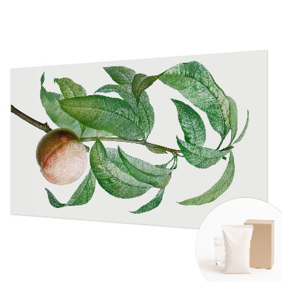 Fotótapéta Érett őszibarack