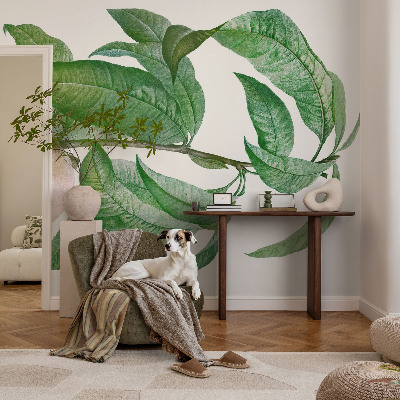 Fotótapéta Érett őszibarack