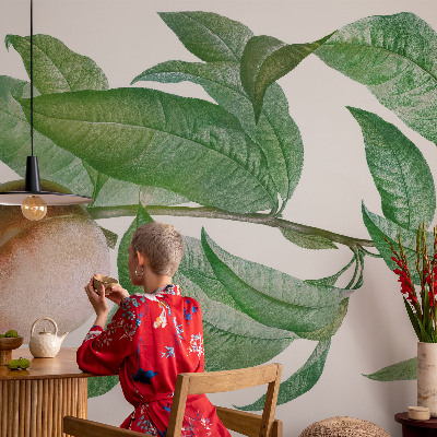 Fotótapéta Érett őszibarack