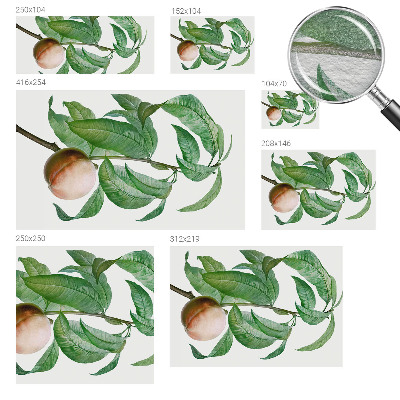 Fotótapéta Érett őszibarack