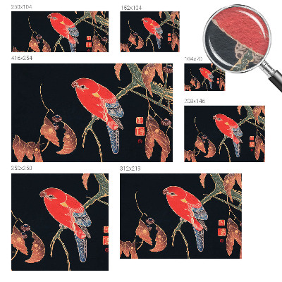 Óriás fotótapéta Egzotikus madár