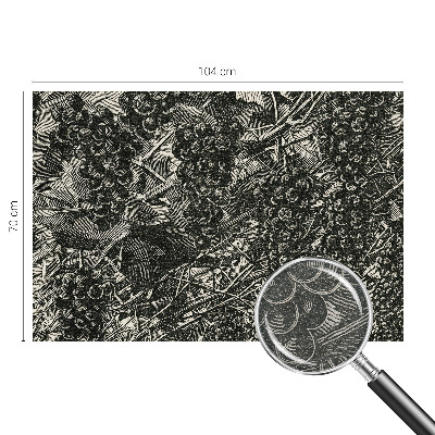 Fényképes tapéta Szőlőminta