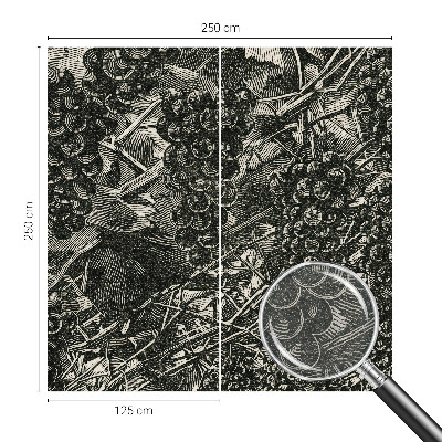 Fényképes tapéta Szőlőminta