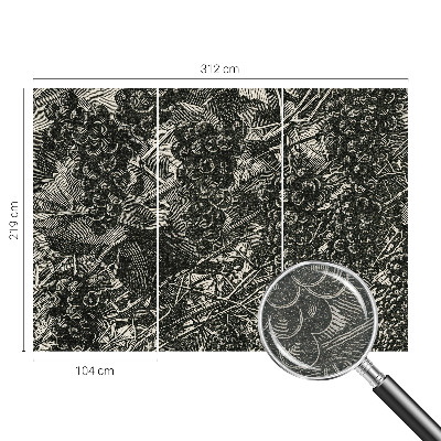 Fényképes tapéta Szőlőminta