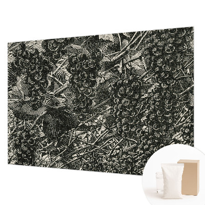 Fényképes tapéta Szőlőminta