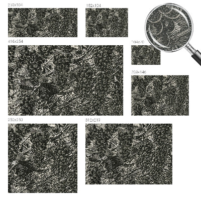 Fényképes tapéta Szőlőminta