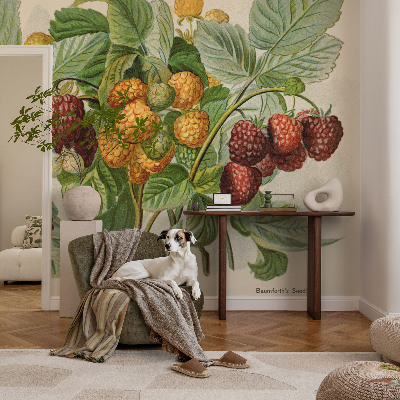 Vlies fotótapéta Klasszikus málna