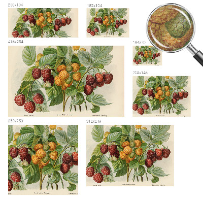 Vlies fotótapéta Klasszikus málna