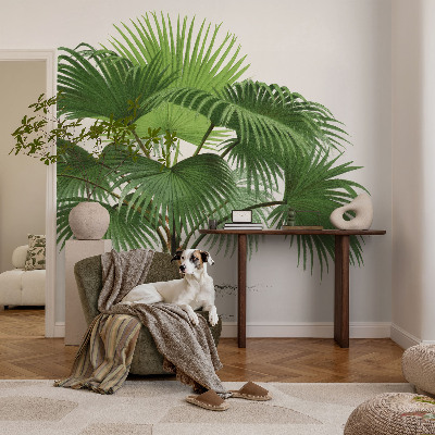 Fali poszter tapéta Egzotikus pálmafa