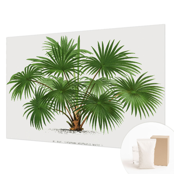 Fotótapéta hálószobába Egzotikus minta