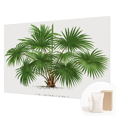 Fotótapéta hálószobába Egzotikus minta