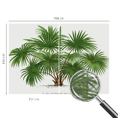 Fotótapéta hálószobába Egzotikus minta