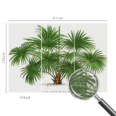 Fotótapéta hálószobába Egzotikus minta