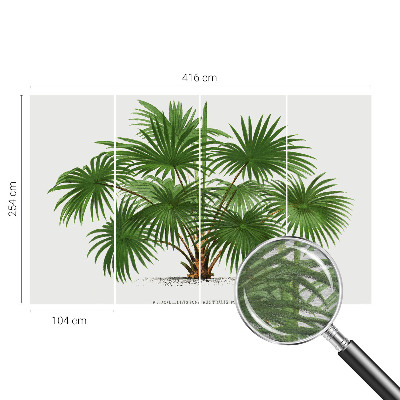 Fotótapéta hálószobába Egzotikus minta