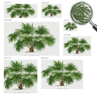 Fotótapéta hálószobába Egzotikus minta