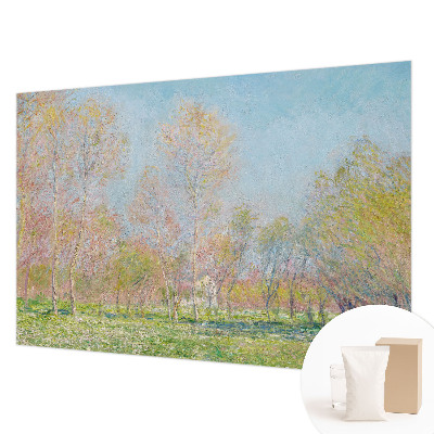 Modern fotótapéta méretre Tavaszi park